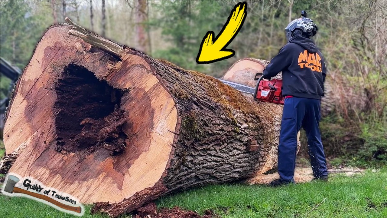 This HUGE Tree Job was NOT supposed to take us 4 days!! ROTTEN COTTONWOOD Removal!