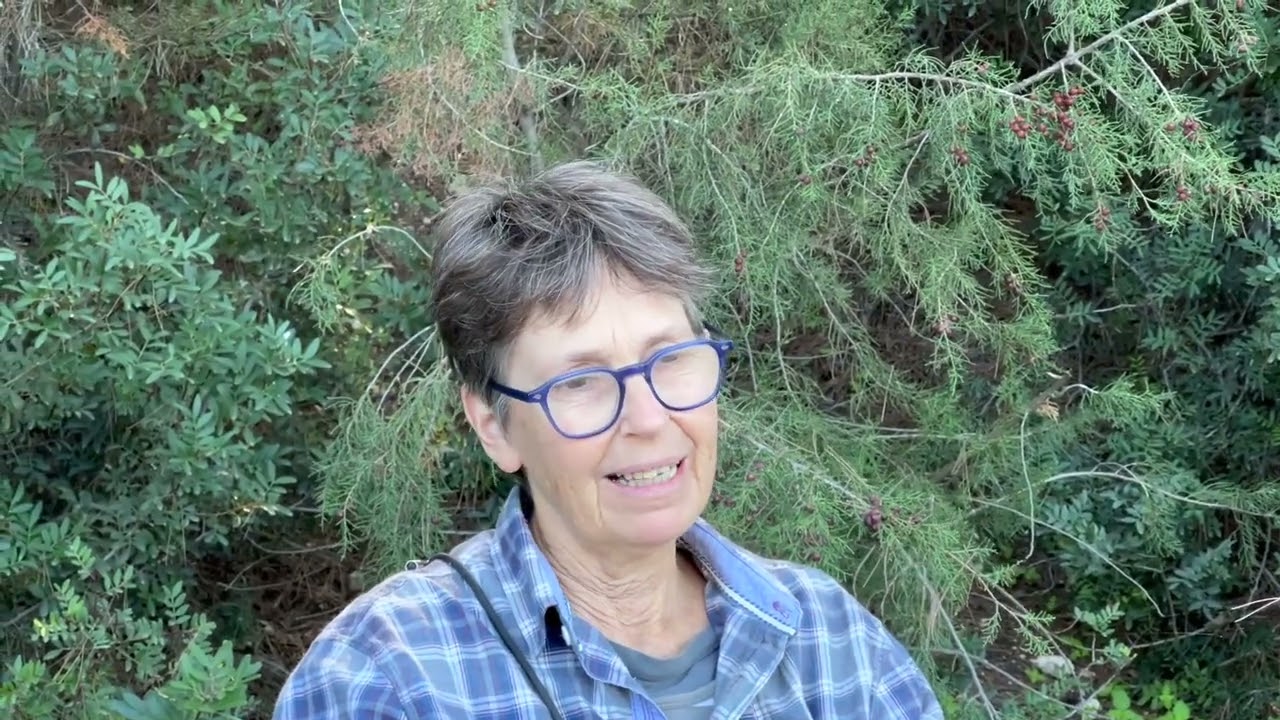 Vrouva Farm 15 years