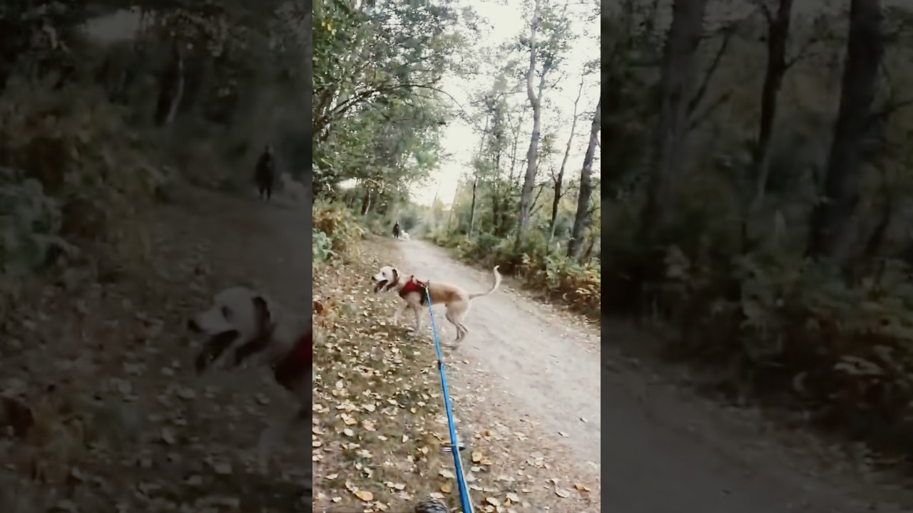 Get In Blu!! Letting Others Pass 