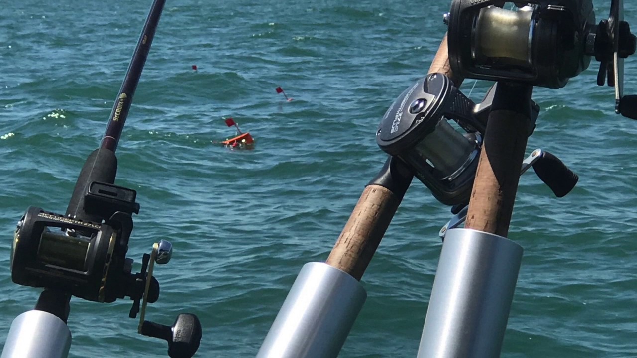 Huge Lake Erie Walleye Trolling