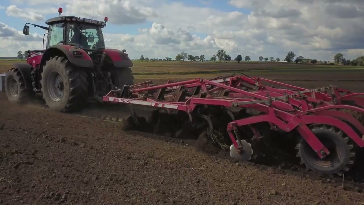 Uprawa i siew zbóż 2022 | Horsch Tiger 4 AS | Unia Polonez 4m