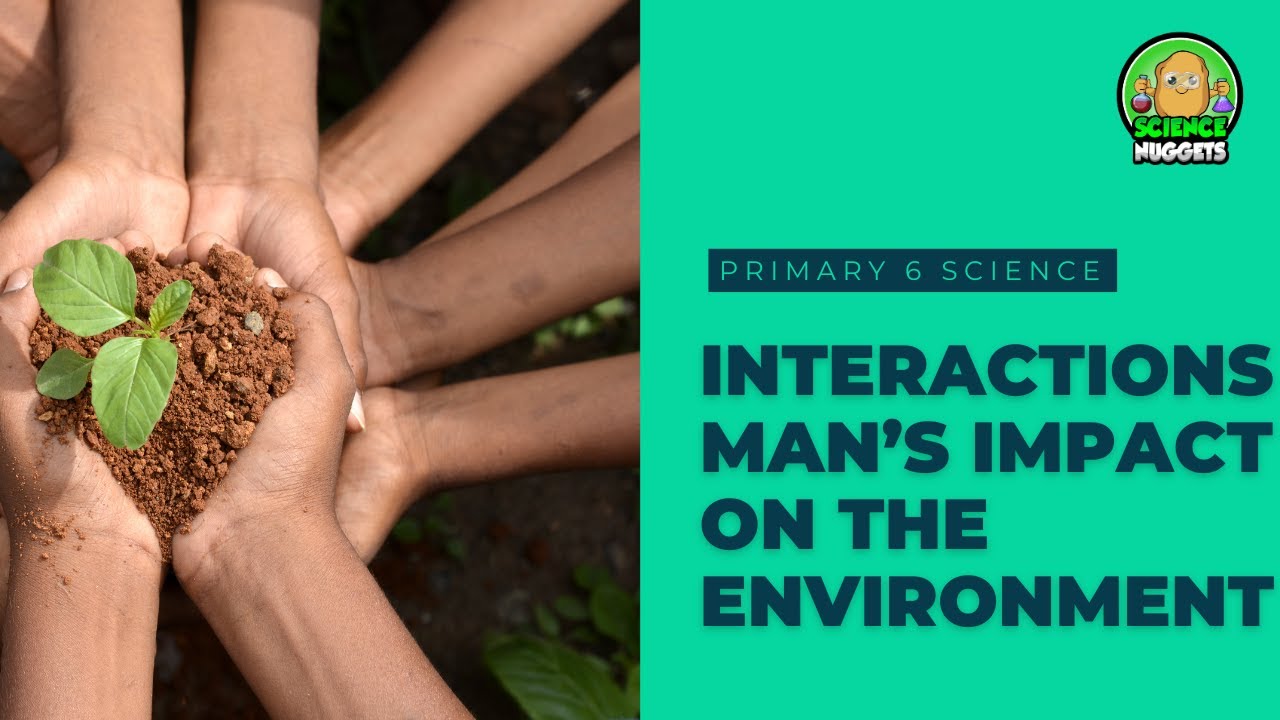 Science Nuggets - Interactions, Man's impact on the environment