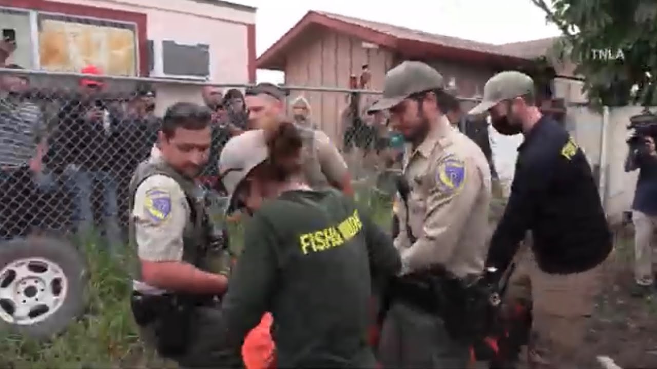 Крупного медведя успокоили в районе Филлмор, штат Калифорния.