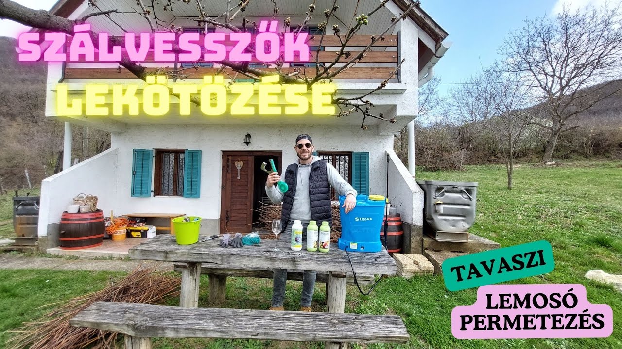 A szőlő termőkarjainak kialakítása, szálvesszők lekötözése - tavaszi lemosó permetezés