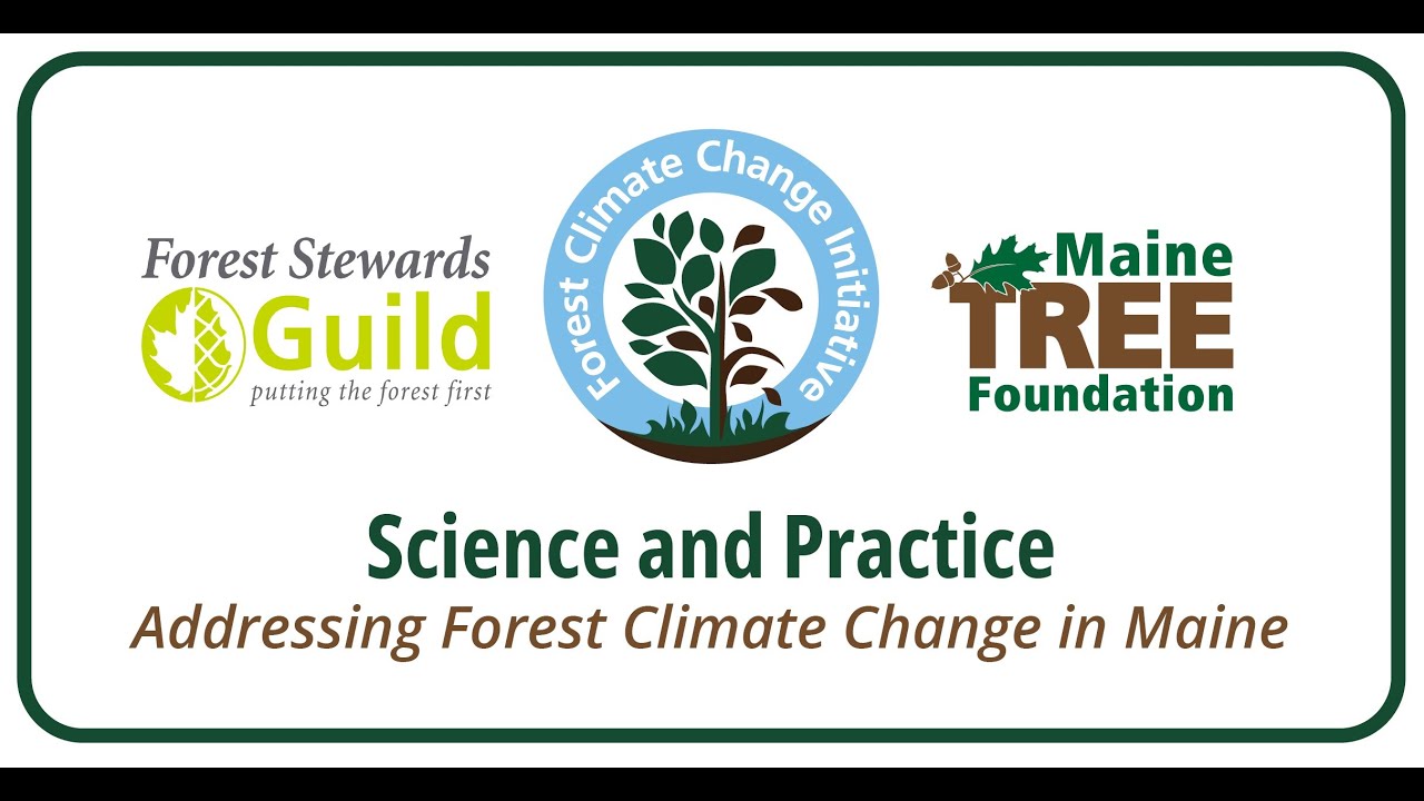 Forest Climate Change & Adaptation: Massabesic Experimental Forest