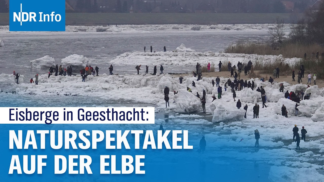 Frost-Spektakel an der Elbe: Eisberge bei Geesthacht sorgen für Besucheransturm | NDR Info