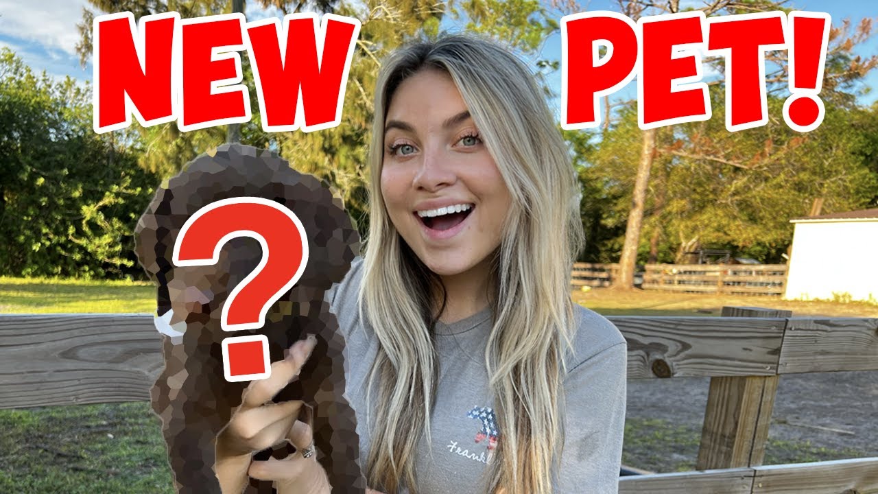 WE GOT A NEW PET! *SO CUTE*