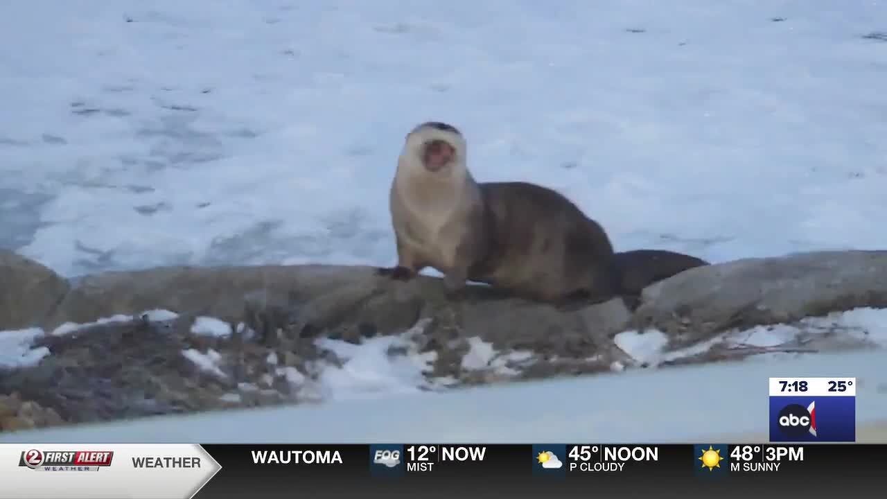 Action 2 News This Morning: LIVESTREAM - Friday, February 27, 2026
