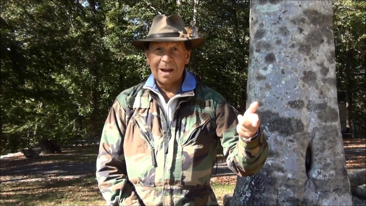 Turkey Quarter Campground and RV Park