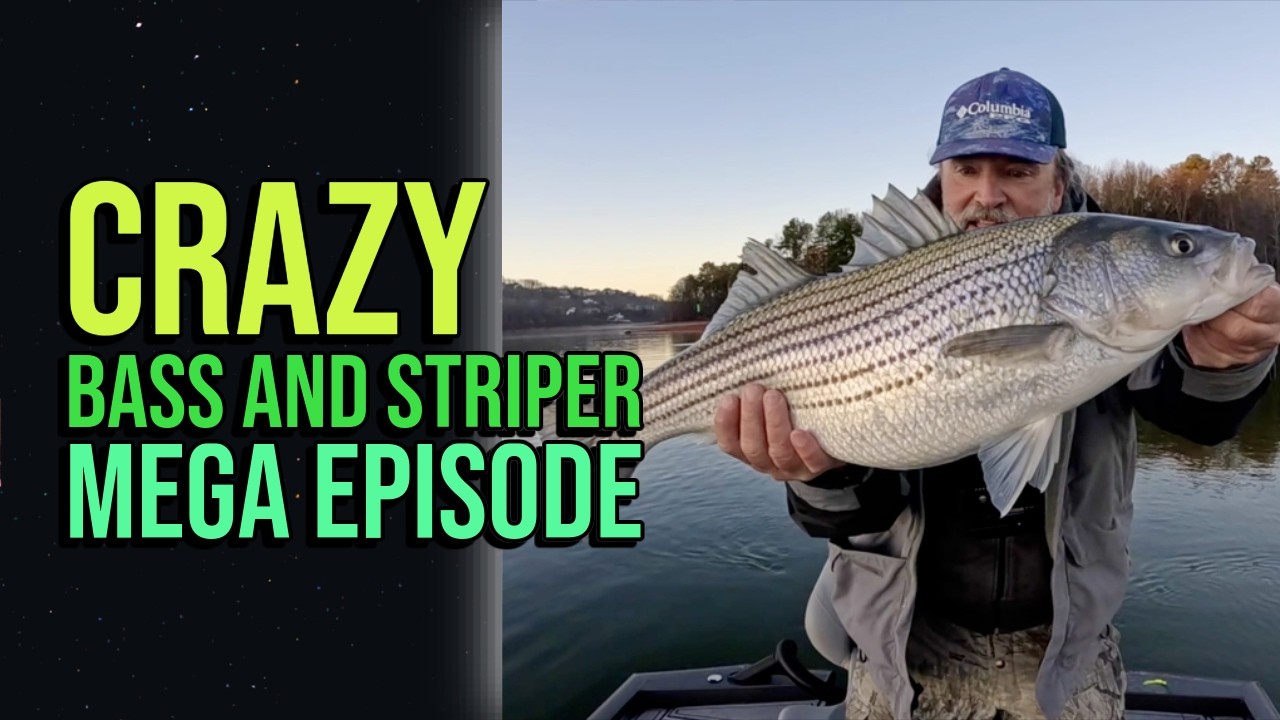 Crazy Striper and Bass Mega Episode!