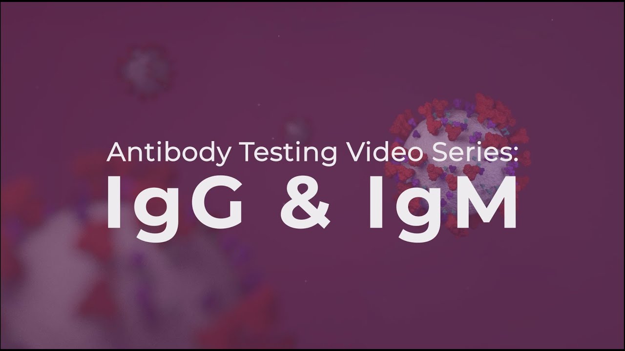 Тестирование на антитела: объяснение IgG и IgM.