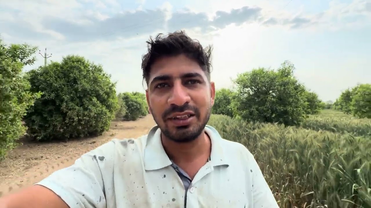 ਅੱਜ ਪਾਣੀ ਦੀ ਵਾਰੀ ।।ਰੂੜੀ ਦੀ ਰੇਹ ਵਿੱਚ ਏਨੇ ਪਾਲਸਟਿਕ ਦੇ ਕਾਗਜ਼ 