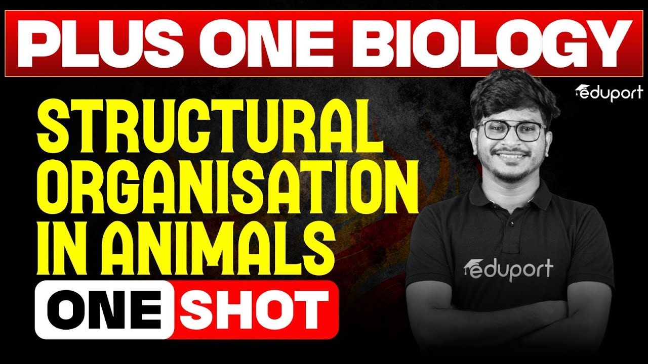 Structural Organisation in Animals | One Shot | Plus One Biology Chapter 7 | Eduport Plus One
