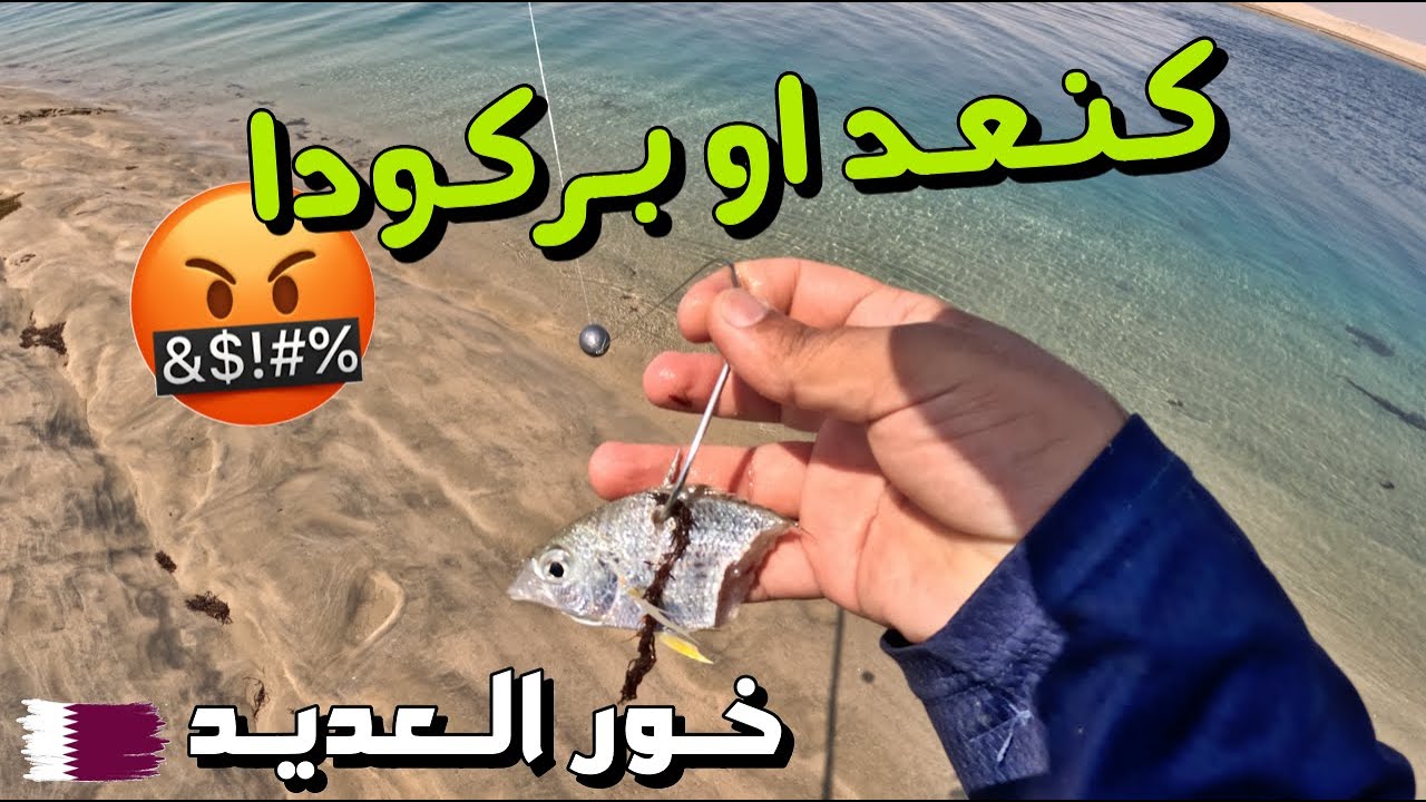 Fishing in Qatar , Inland sea صيد العديد ، جنوب قطر