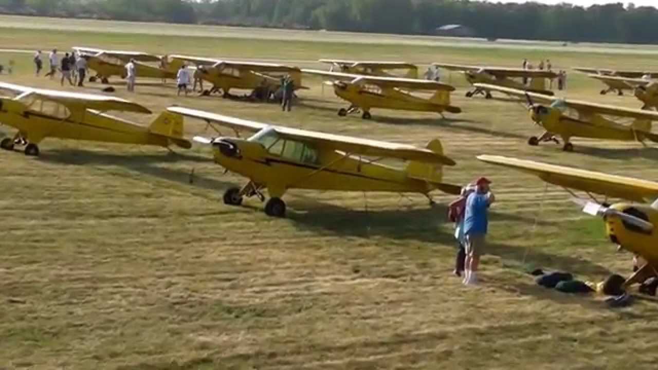 Piper J3 Cubs At Oshkosh