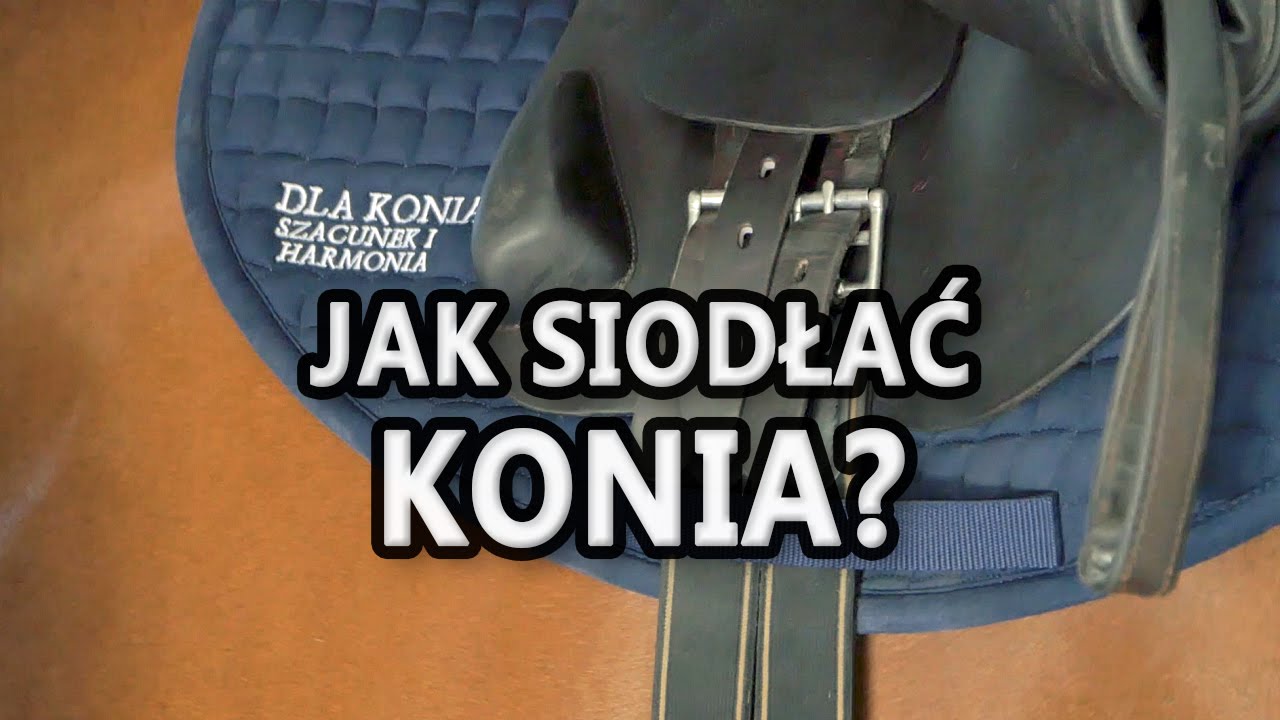 Jak siodłać konia? Początki jazdy konnej