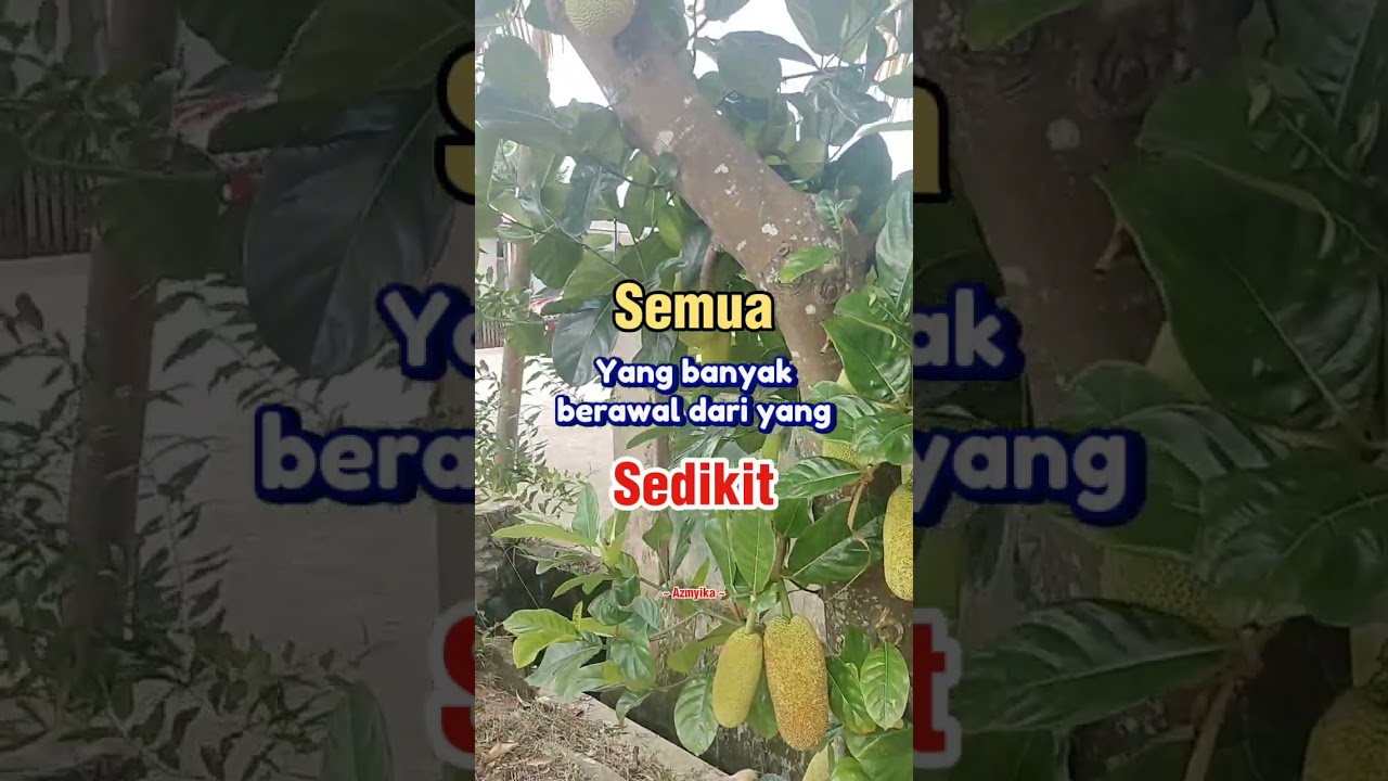 Proses kehidupan.