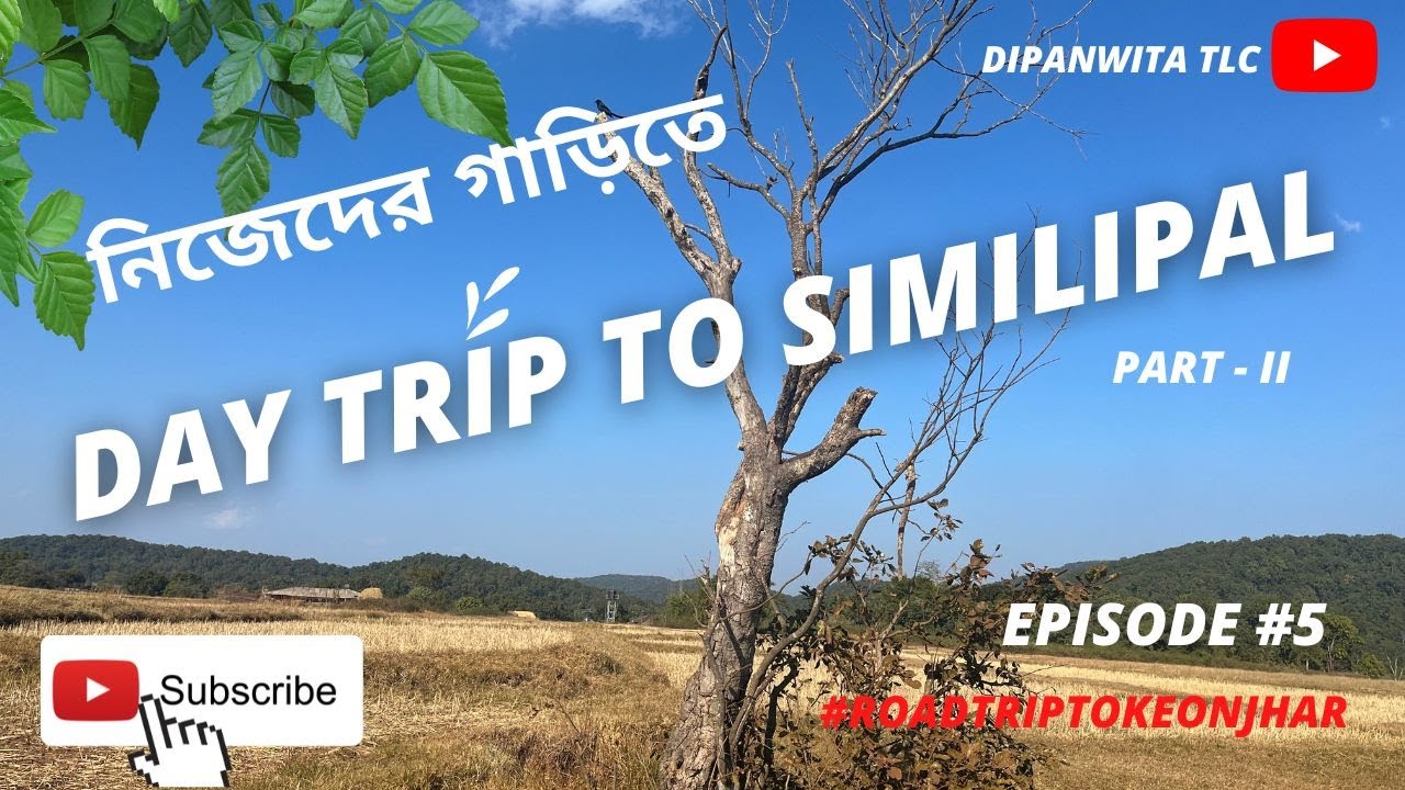 নিজেদের গাড়ি নিয়ে পাহাড় ঝর্ণায় ঘেরা Similipal জঙ্গলের সম্পূর্ন খুঁটি নাটি তথ্য 🚗🚗 Part-II Ep #5
