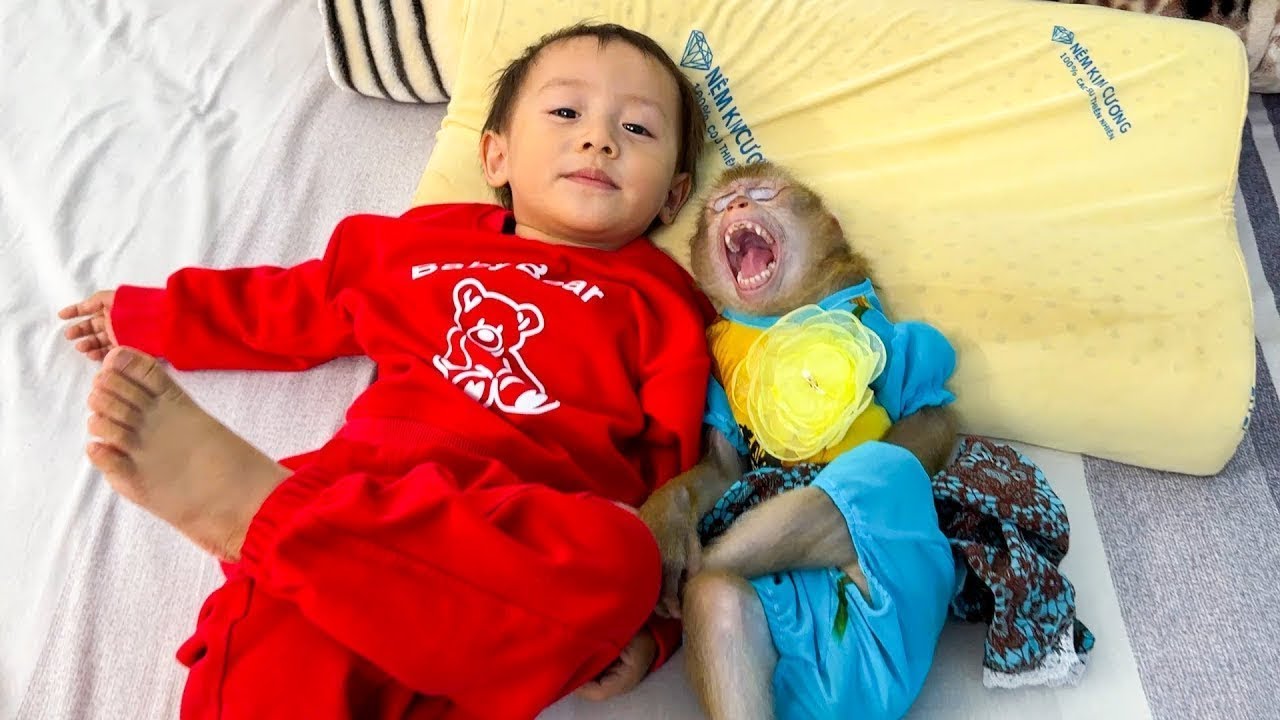 Monkey Kaka and Diem lying with their feet up looks so funny