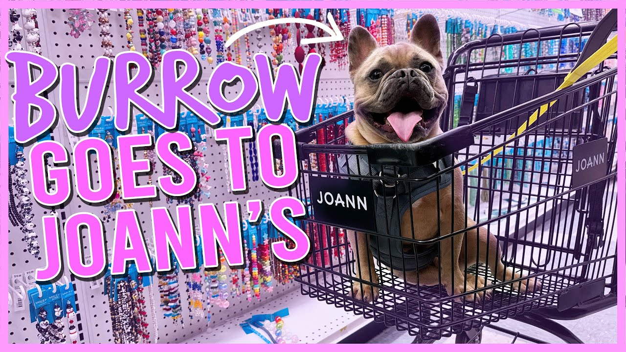 taking my dog bead shopping for the first time 🐾🤍  JOANN'S 60% OFF SALE ✨vlog style✨