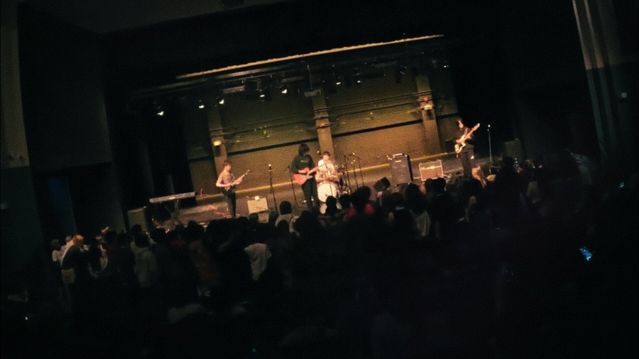 the cat (live)