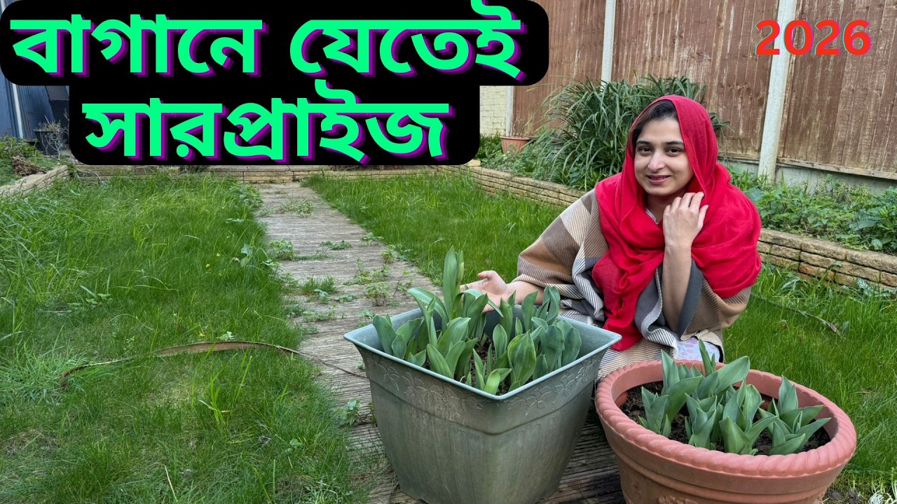বাগানে যেতেই এই বছরের বড় সারপ্রাইজ পেয়ে গেলাম এবং মজার ইফতারি।|JF DISHA VLOGS||Ramadan 2026 UK|