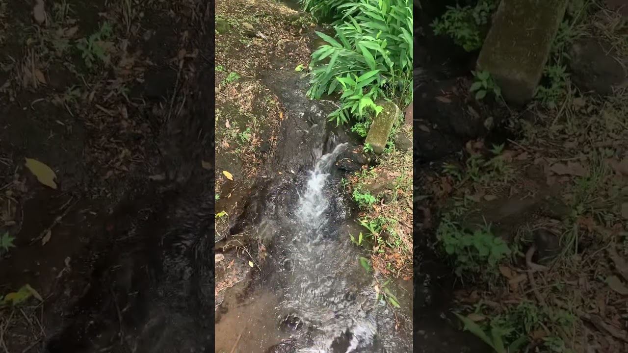 Rio Turrucares en Alajuela, Costa Rica #costarica #2023 #alajuela #costarica #turrucares