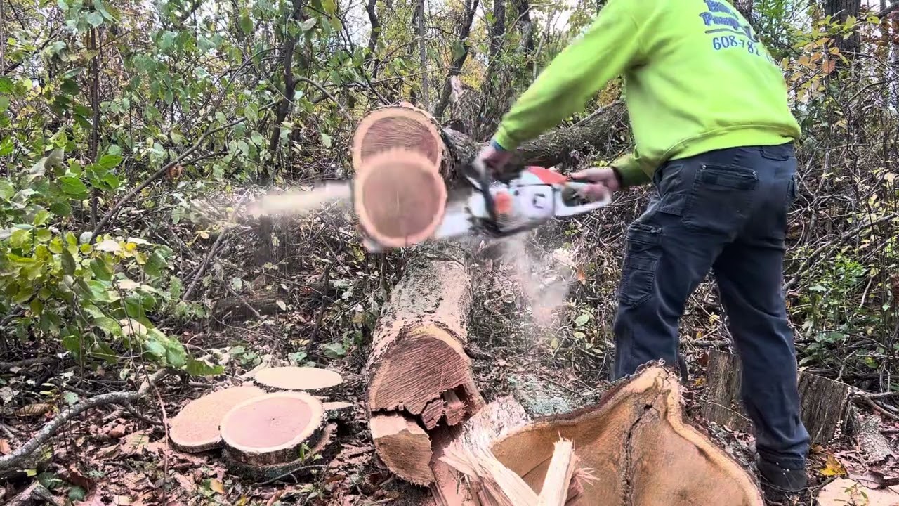 Husqvarna 540MK3 vs Stihl 201
