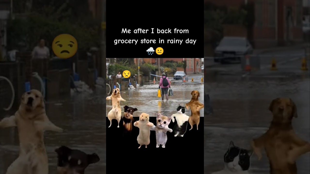 Rainy🫤 #youtube #rain #road #flood #water #marketing #disaster #funny #trending #shorts #subscribe