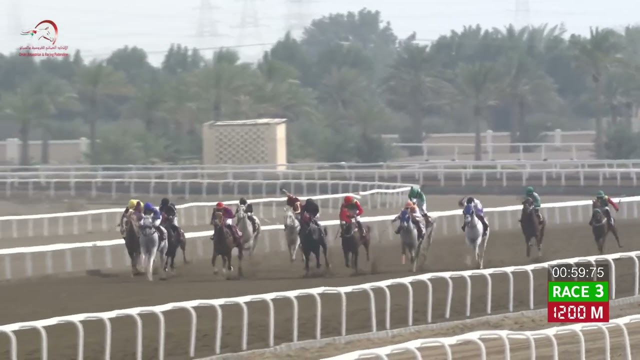 Race 3 - 16th Meeting - Rahba - 06/02/2026