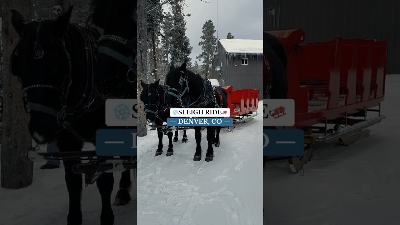 Winter activities in Colorado! The most magical sleigh ride. #explorecolorado #christmas