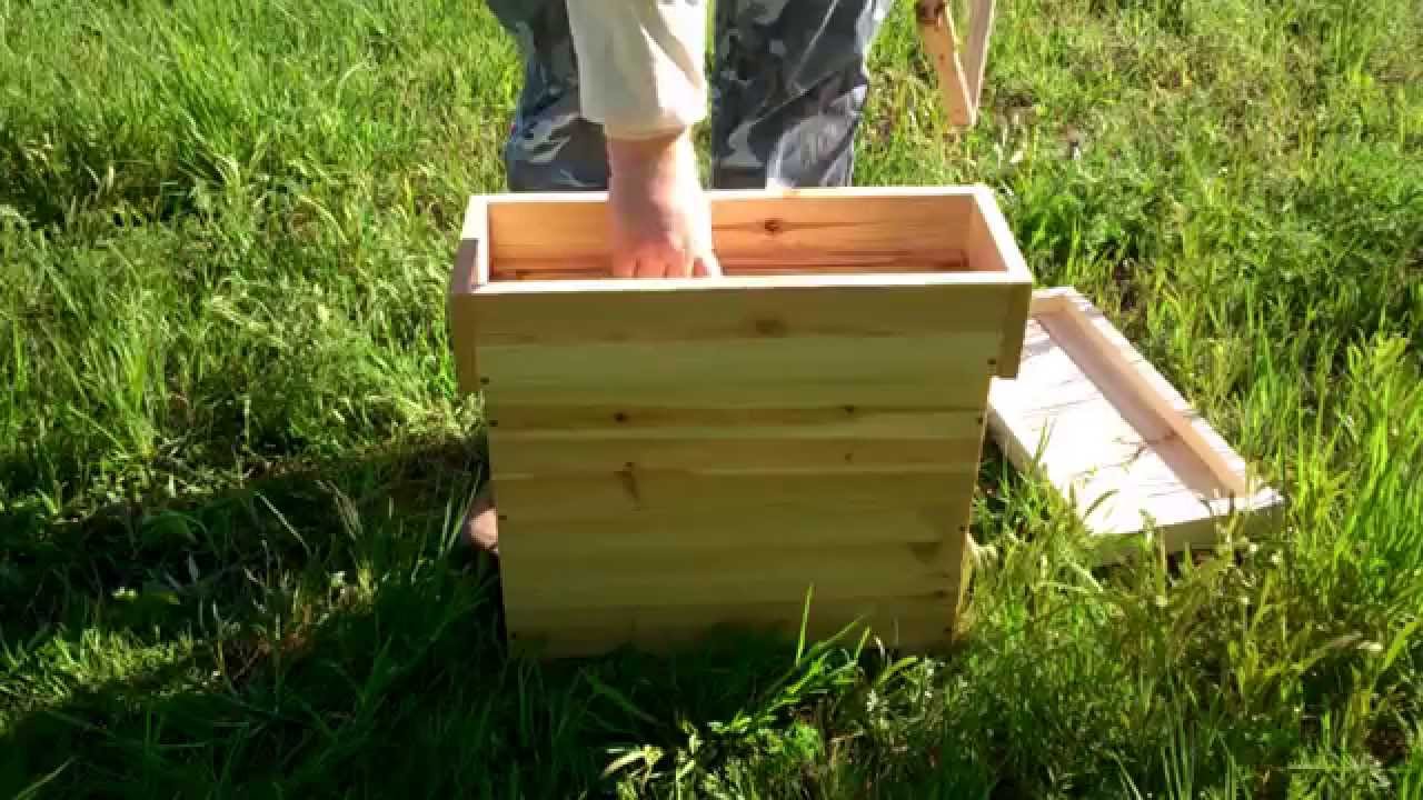 Imkerei Selbstgebauter Anbrüter und Nicot Zuchtsystem mit Bauanleitung