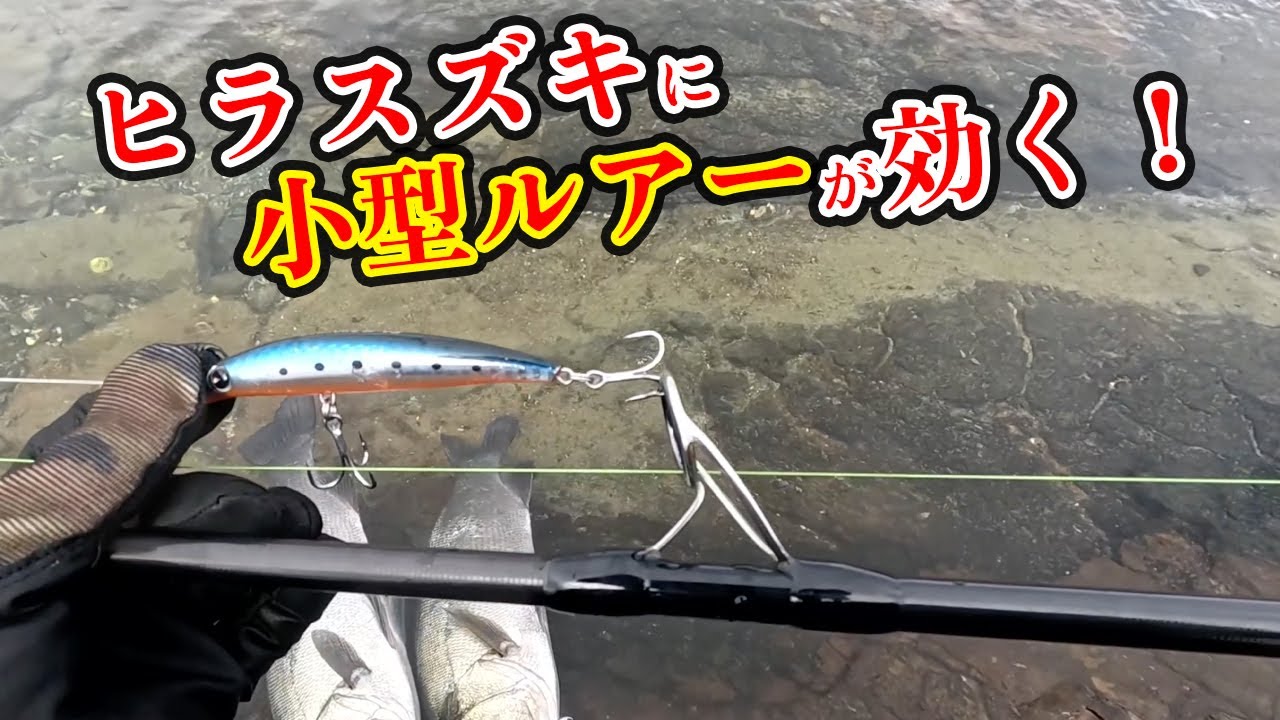 【ヒラスズキ釣り攻略法の1手】小型ルアーが効く時がある！その使い方＆ヒットシーンを公開！