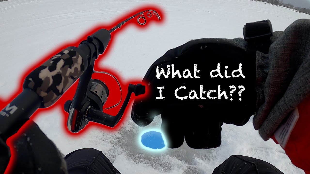 I FINALLY Caught ONE!! || Walled Lake Ice Fishing