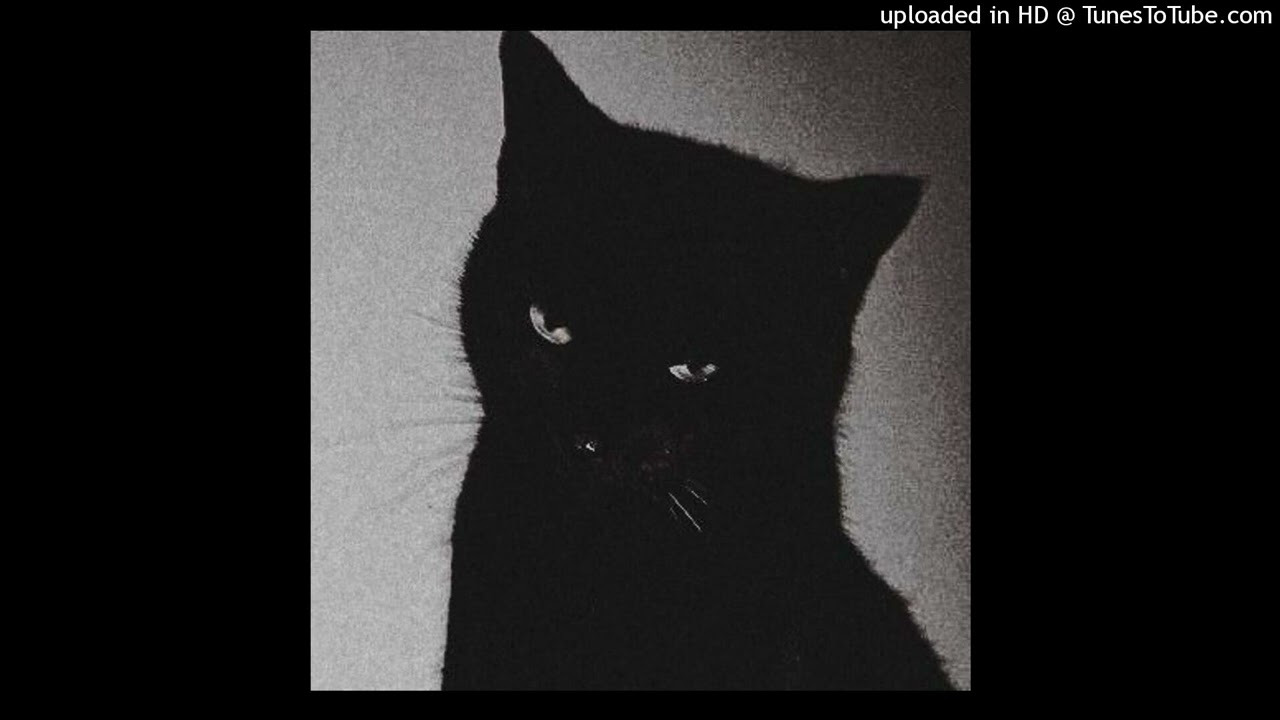 kaystreuno x bacleo x 33.1 FM type beat "nine lives" (prod. athera)