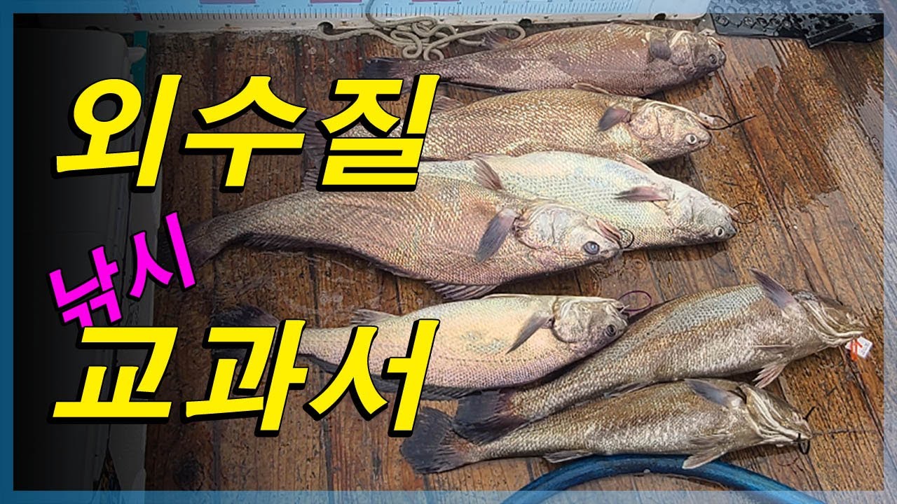 대물 잡는 외수질 낚시 배우고 싶다면? 이 영상은 방앗간!