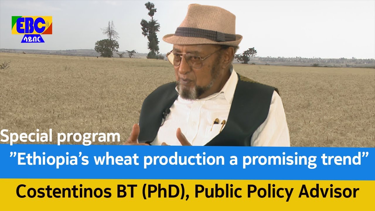 Special program - ”Ethiopia’s wheat production a promising trend”