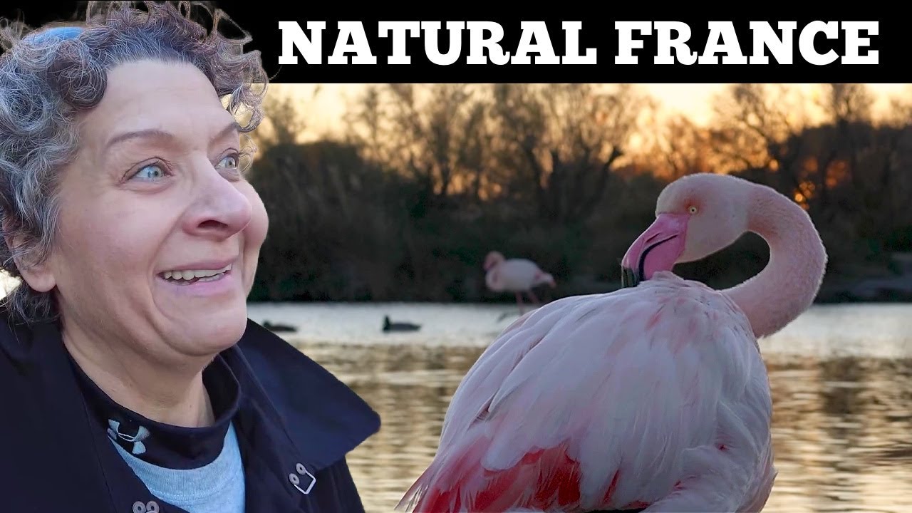 A PART OF FRANCE YOU HAVE NEVER SEEN - WE FOUND THE BEAUTIFUL NATURE!