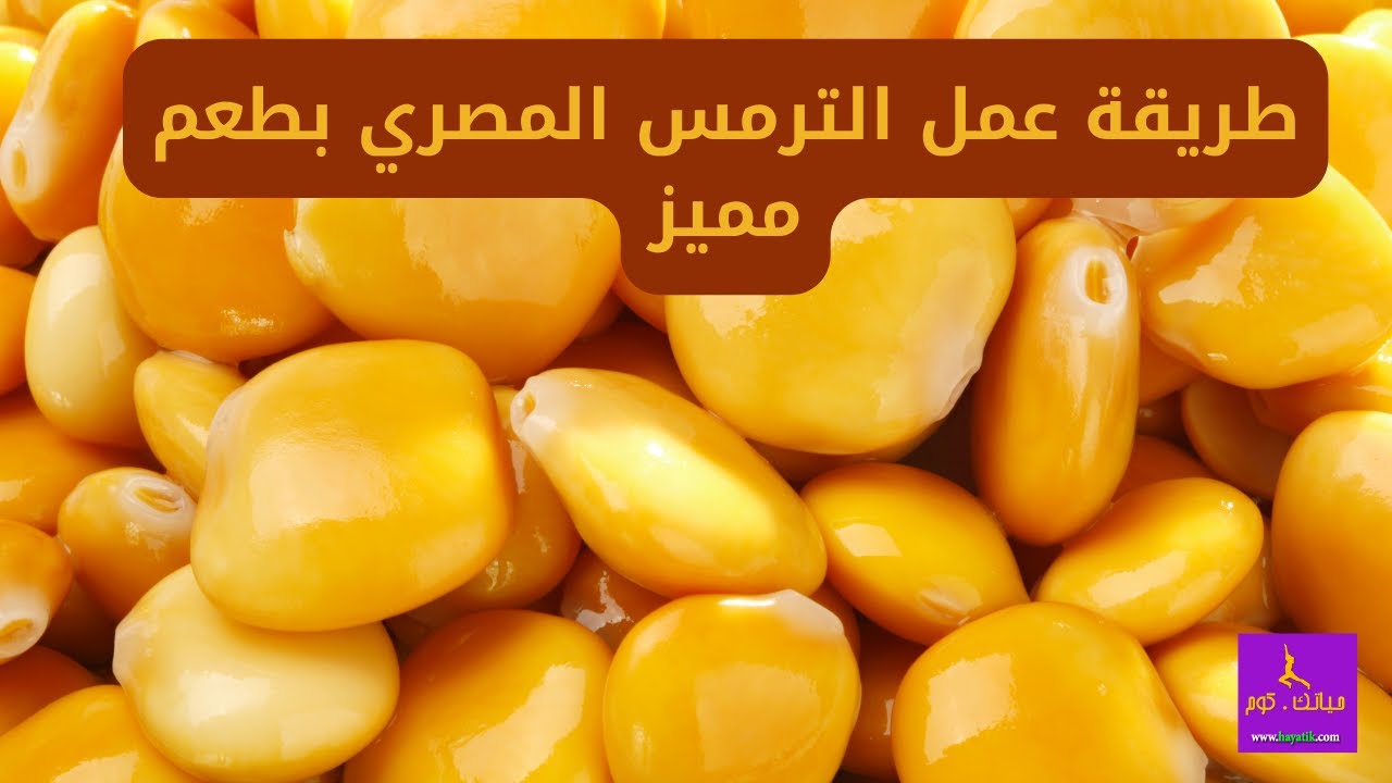 طريقة عمل الترمس المصري بطعم مميز