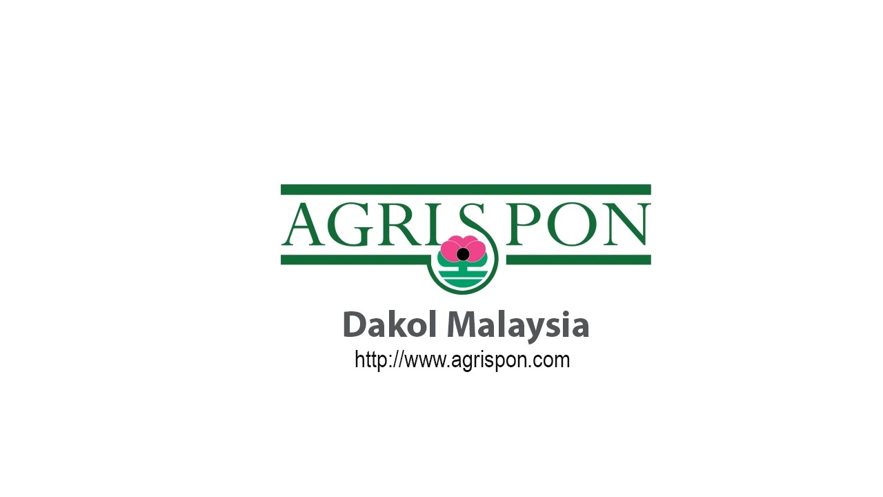 Agrispon © and Paddy Farming (2026)