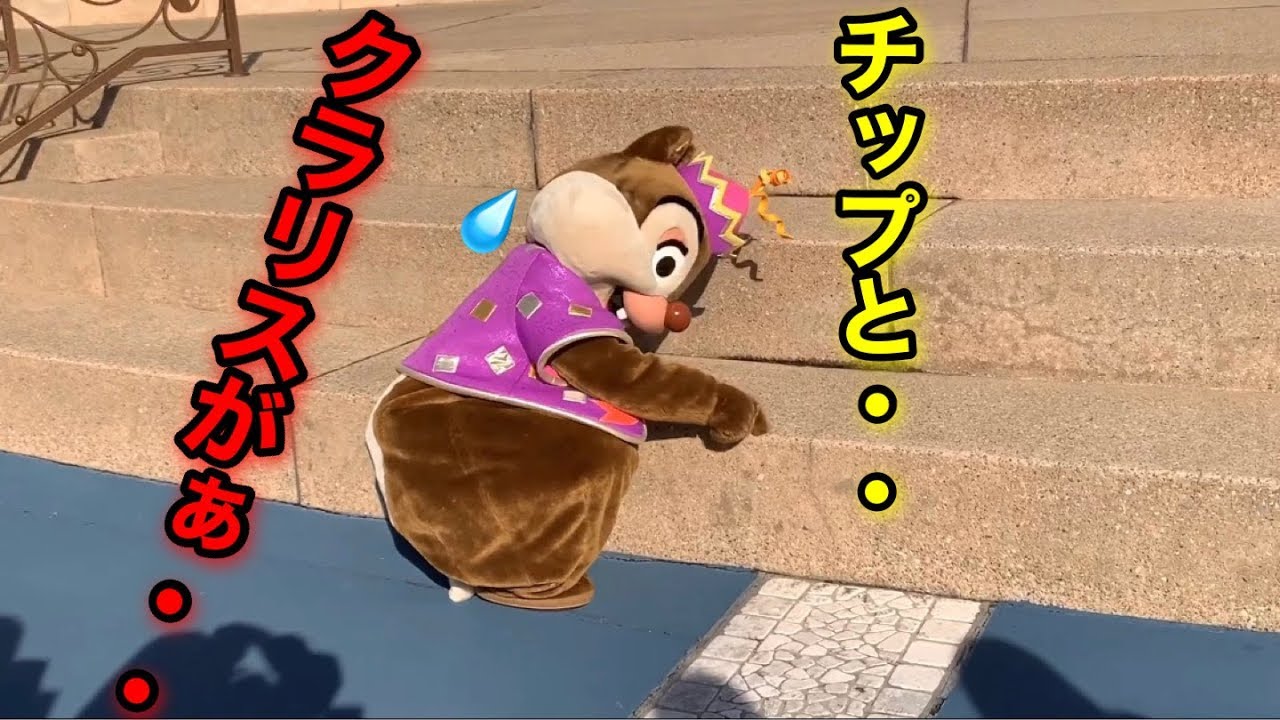 【チップとデール】クラリスとチップの写真を見たデールが・・😳