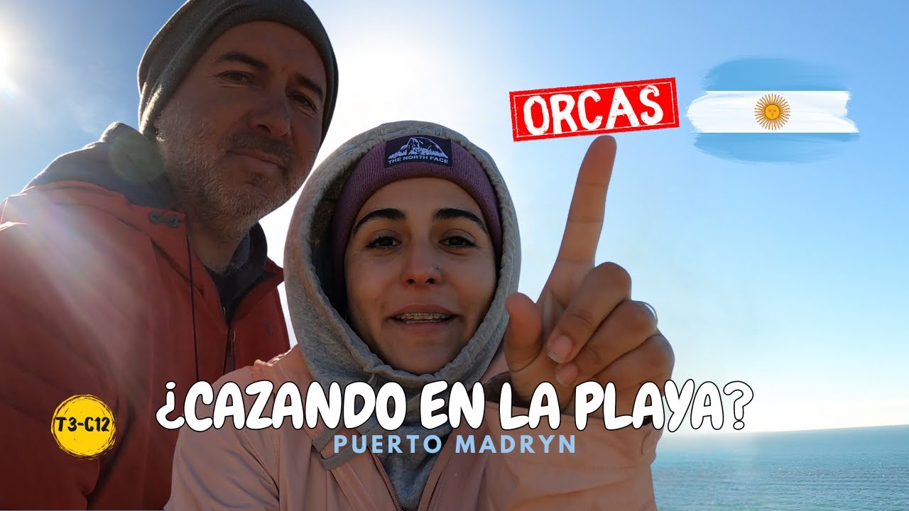 📌 ORCAS en la PATAGONIA - Argentina!! De Puerto Madryn a Caleta Valdés