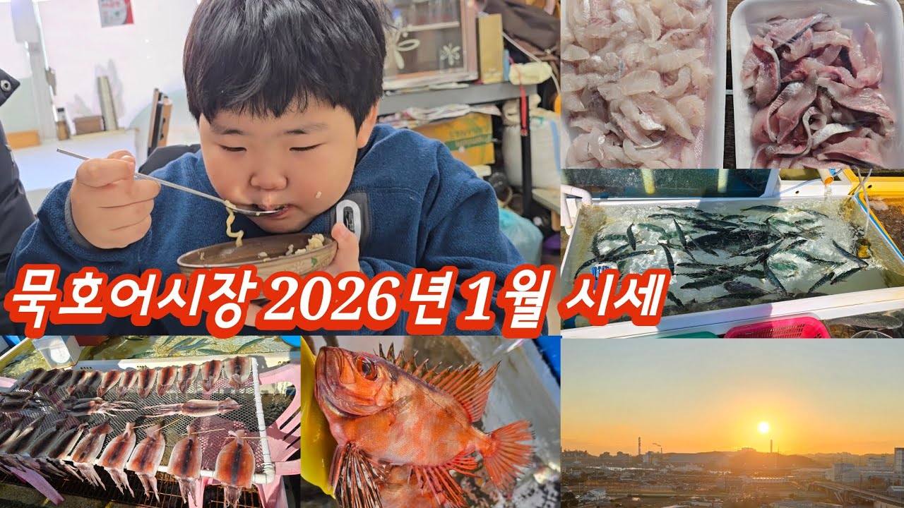 묵호어시장 어판장 2026년 시세, 동해시 묵호항 맛집