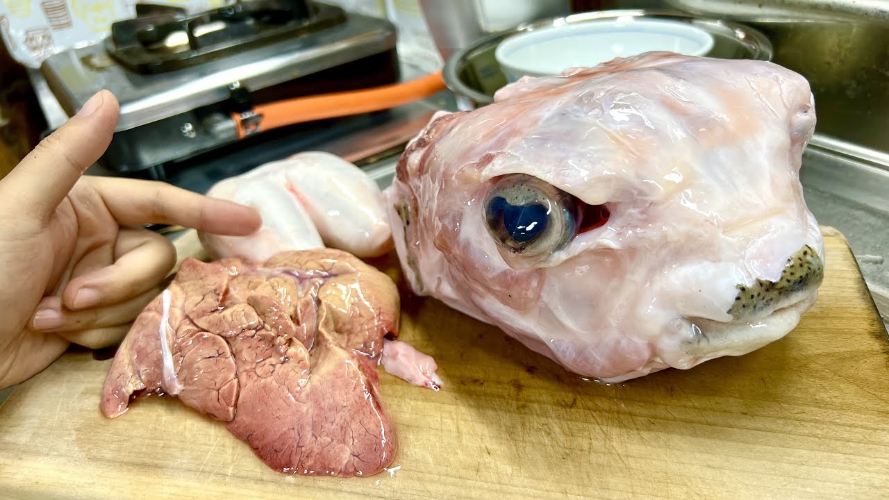 巨型豪猪鱼头、肝、鱼鳔，好吃极了！