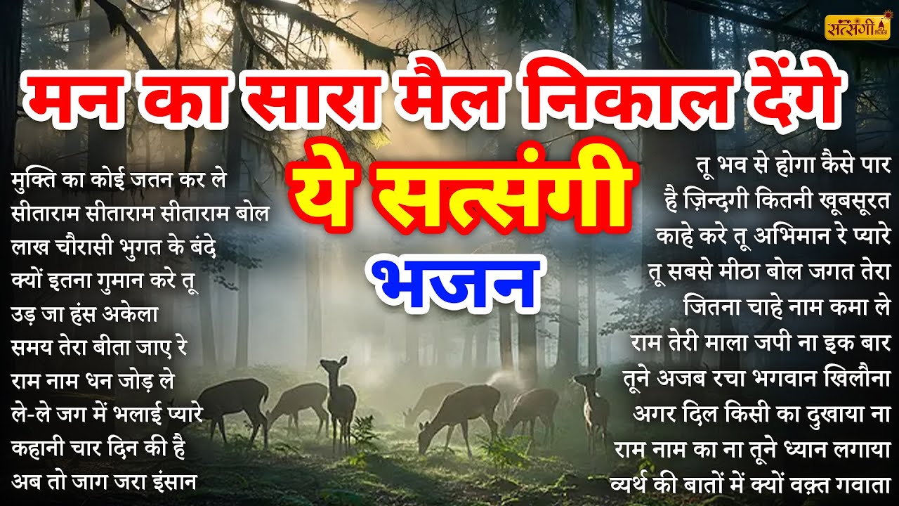 मन का सारा मैल निकाल देंगे ये सत्संगी भजन | Satsangi Bhajan | Nirgun Bhajan | Satsangi Bhajan 2026