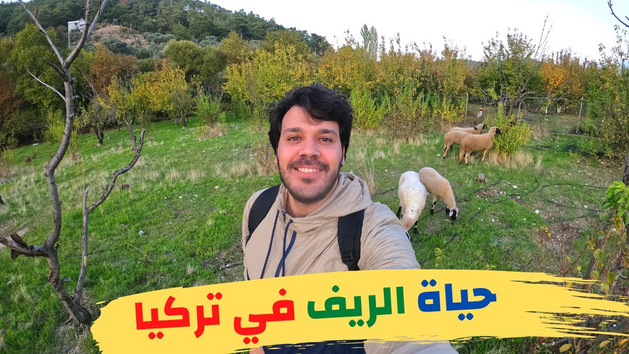 حياة الريف التركي | اجمل القرى في ازمير تركيا | جمال الطبيعة في ريف تركيا