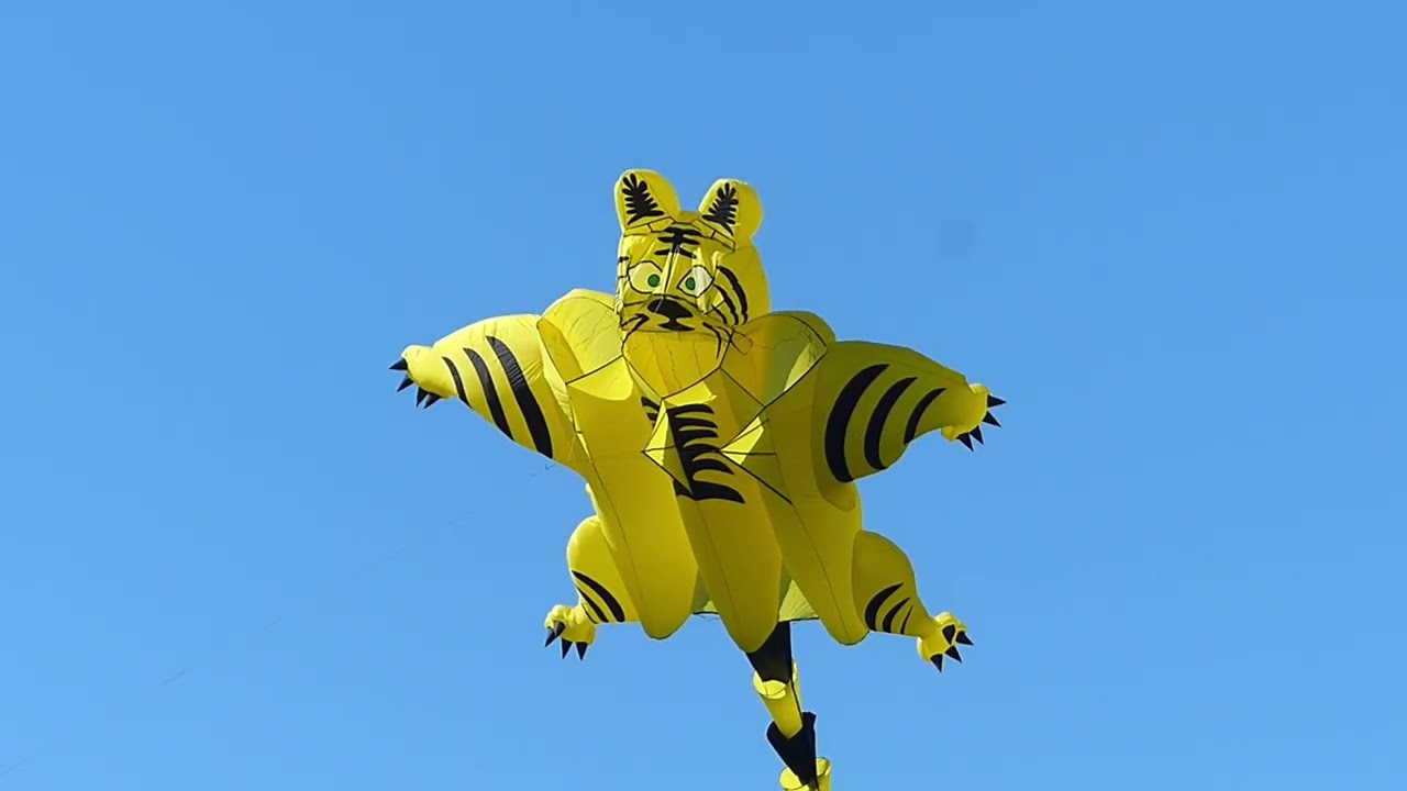Southpoint Kite festival