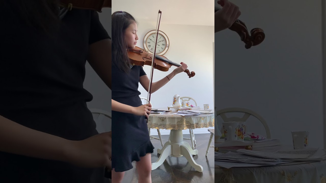 Zigeunerweisen by Sarasate