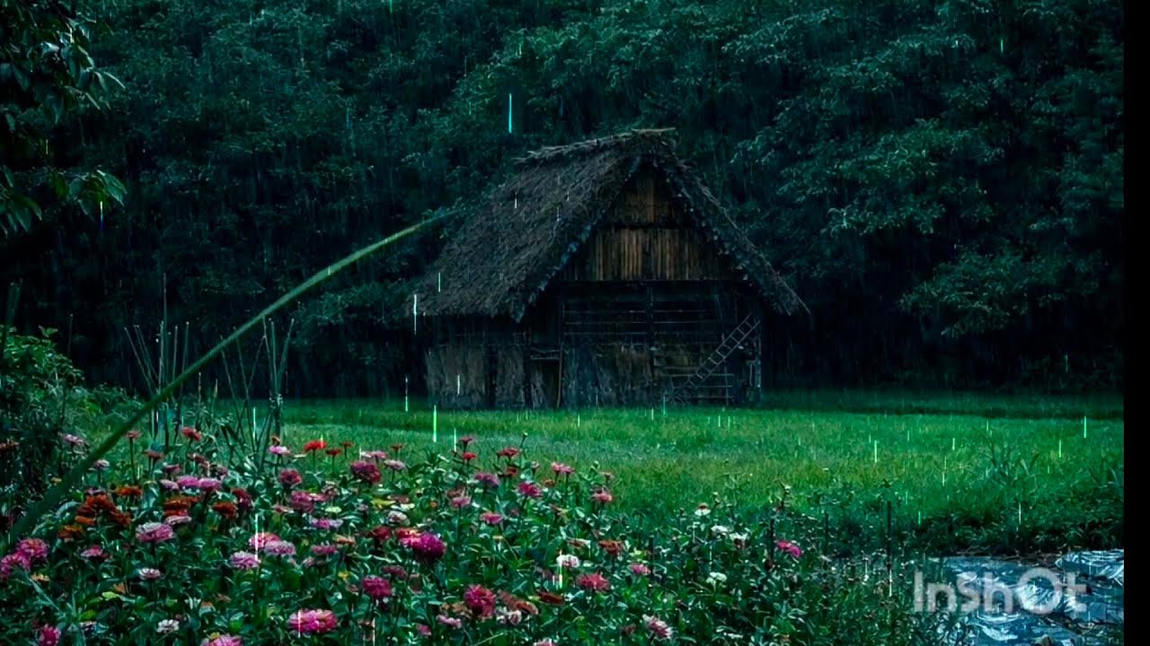 Soft Rain Sounds Outside a Japanese Countryside Home