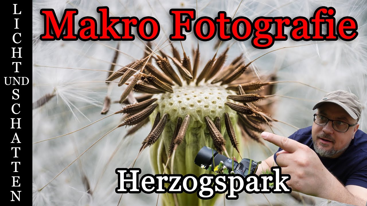 Makro Fotografie im Herzogspark Regensburg